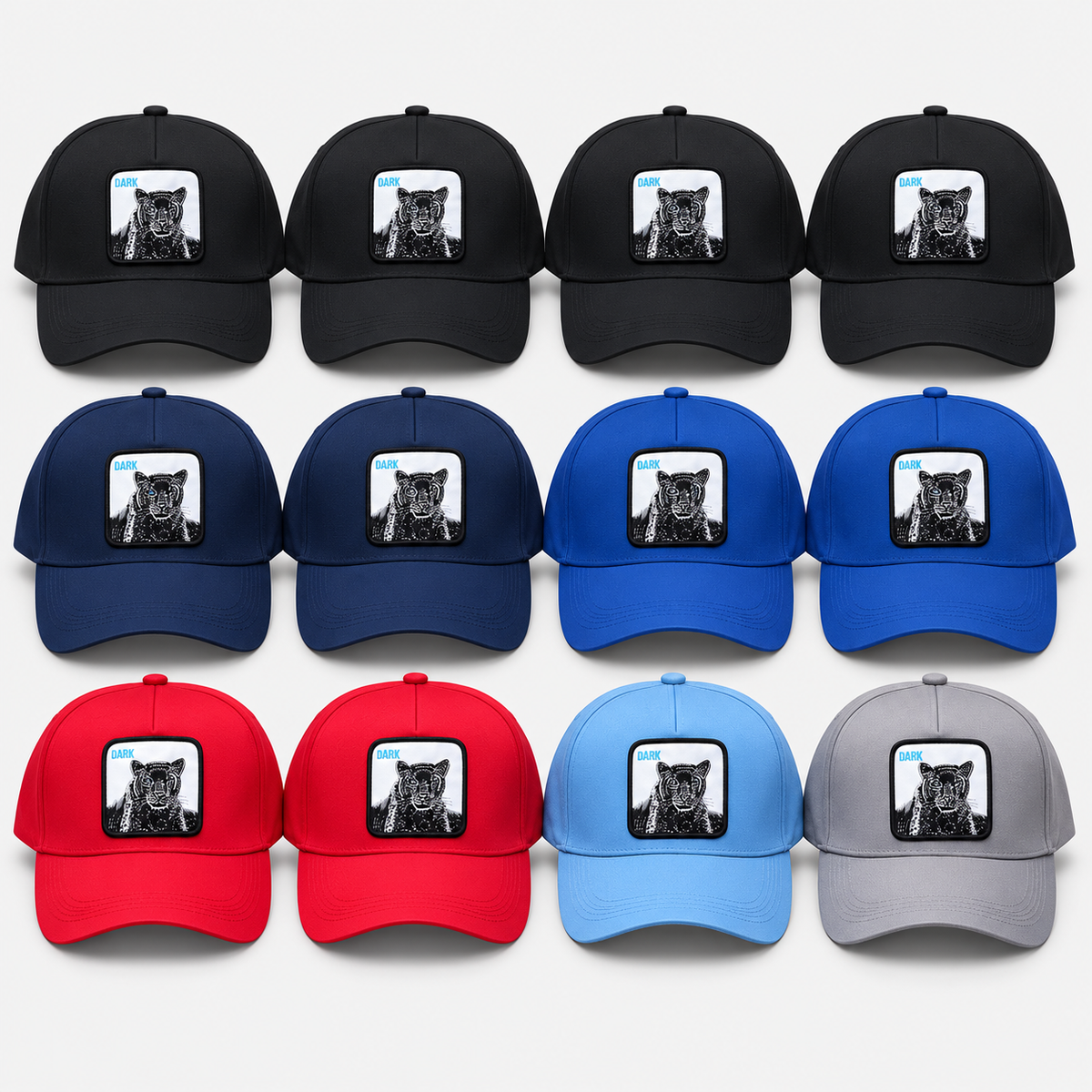 Panther patch baseball caps — complete dozen: 4 black, 2 navy, 2 royal blue, 2 red, 1 light blue and 1 gray